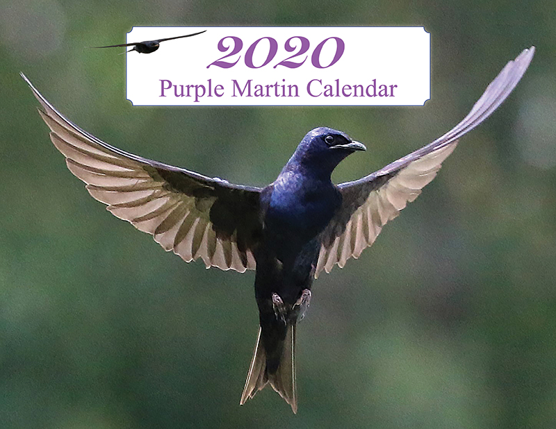 2020 Purple Martin Calendar